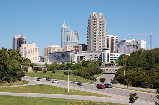 Raleigh Background Check